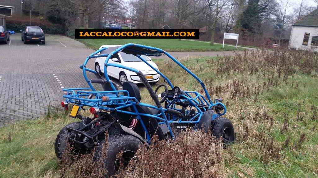 pgo buggy 50cc